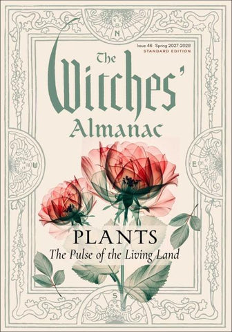 The Witches' Almanac 2027-2028 Standard Edition Issue 46