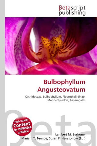 Bulbophyllum Angusteovatum