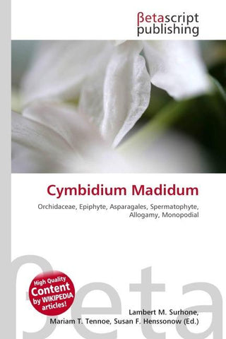 Cymbidium Madidum