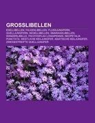 Großlibellen