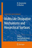 Multiscale Dissipative Mechanisms and Hierarchical Surfaces