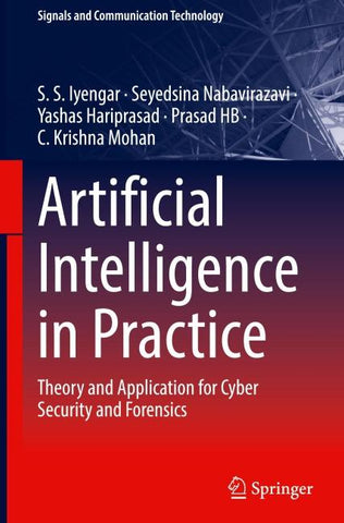 Artificial Intelligence in Practice