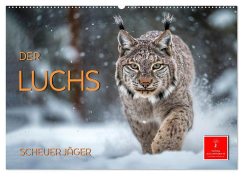 Der Luchs - scheuer Jäger (Wandkalender 2026 DIN A2 quer), CALVENDO Monatskalender