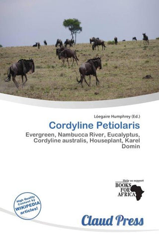 Cordyline Petiolaris