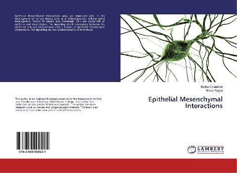 Epithelial Mesenchymal Interactions