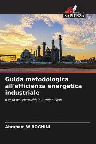 Guida metodologica all'efficienza energetica industriale