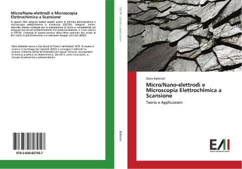 Micro/Nano-elettrodi e Microscopia Elettrochimica a Scansione