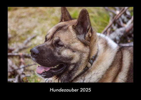 Hundezauber 2025 Fotokalender DIN A3