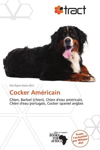 Cocker Américain