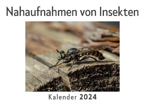 Nahaufnahmen von Insekten (Wandkalender 2024, Kalender DIN A4 quer, Monatskalender im Querformat mit Kalendarium, Das perfekte Geschenk)