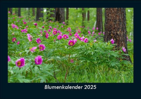 Blumenkalender 2025 Fotokalender DIN A5