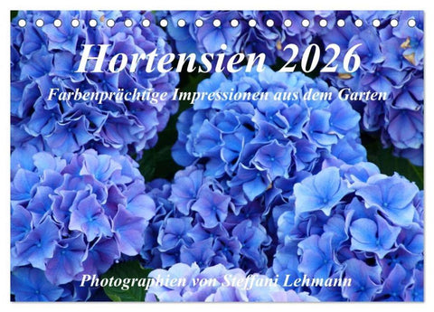 Hortensien 2026. Farbenprächtige Impressionen aus dem Garten (Tischkalender 2026 DIN A5 quer), CALVENDO Monatskalender