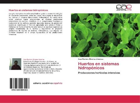 Huertos en sistemas hidropónicos