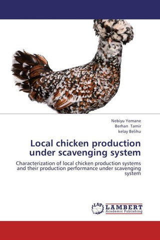 Local chicken production under scavenging system