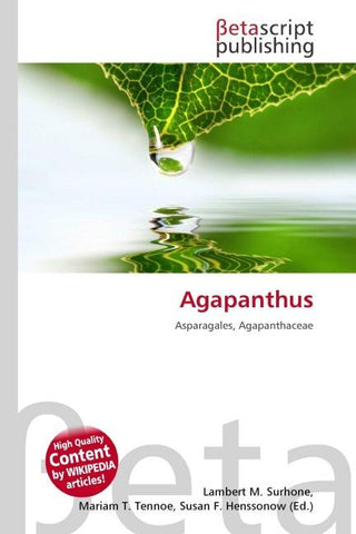 Agapanthus