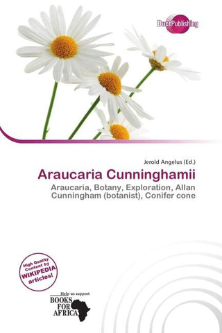 Araucaria Cunninghamii