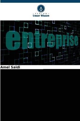 Methoden der Unternehmensbewertung: Der algerische Fall