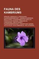 Fauna des Kambriums