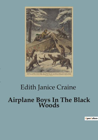 Airplane Boys In The Black Woods