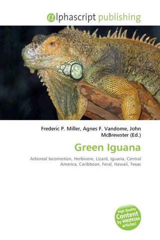 Green Iguana