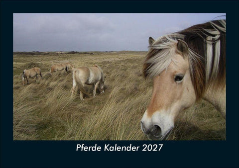 Pferde Kalender 2027 Fotokalender DIN A5