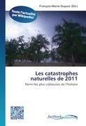 Les catastrophes naturelles de 2011