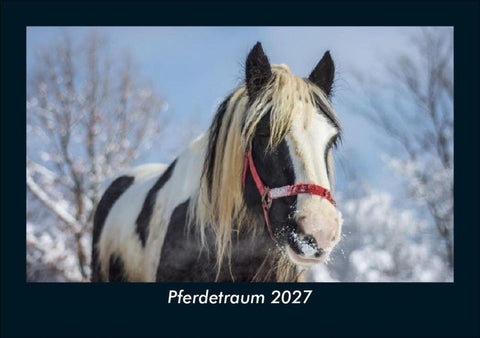 Pferdetraum 2027 Fotokalender DIN A5