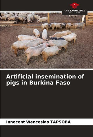 Artificial insemination of pigs in Burkina Faso