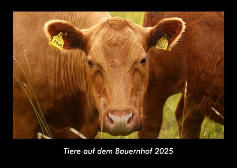 Tiere auf dem Bauernhof 2025 Fotokalender DIN A3