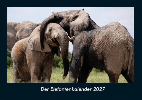 Der Elefantenkalender 2027 Fotokalender DIN A4