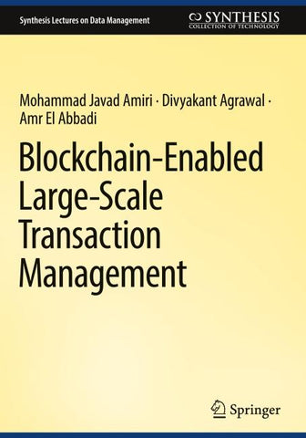 Blockchain-Enabled Large-Scale Transaction Management