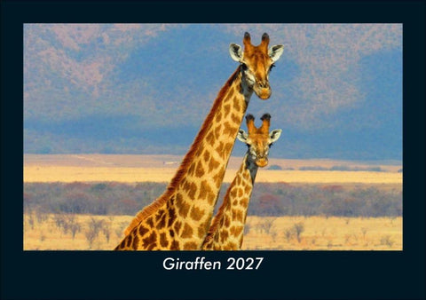 Giraffen 2027 Fotokalender DIN A5