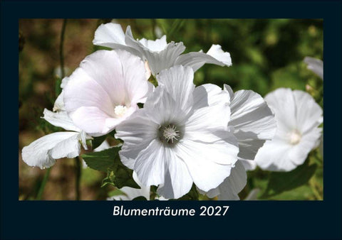 Blumenträume 2027 Fotokalender DIN A5
