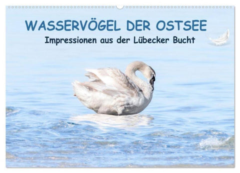 Wasservögel der Ostsee - Impressionen aus der Lübecker Bucht (Wandkalender 2026 DIN A2 quer), CALVENDO Monatskalender