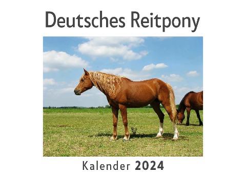 Deutsches Reitpony (Wandkalender 2024, Kalender DIN A4 quer, Monatskalender im Querformat mit Kalendarium, Das perfekte Geschenk)