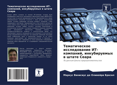 Tematicheskoe issledowanie IT-kompanij, inkubiruemyh w shtate Seara