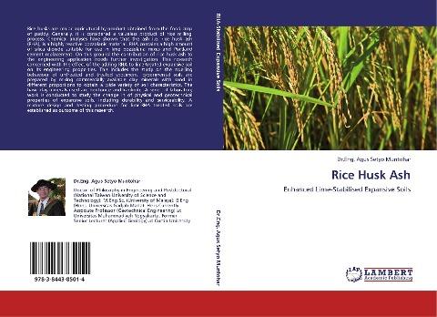 Rice Husk Ash
