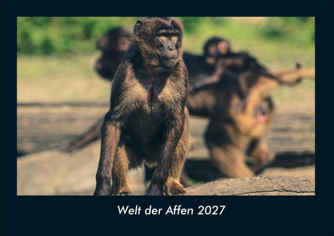 Welt der Affen 2027 Fotokalender DIN A4
