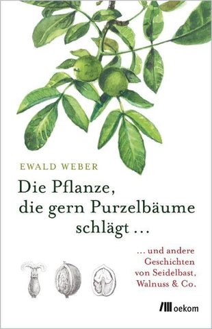 Die Pflanze, die gern Purzelbäume schlägt …