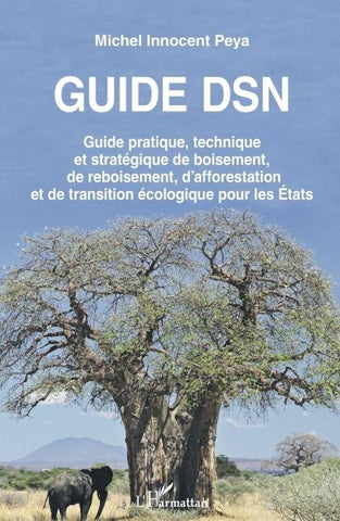 Guide DSN