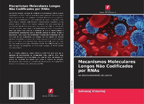 Mecanismos Moleculares Longos Não Codificados por RNAs