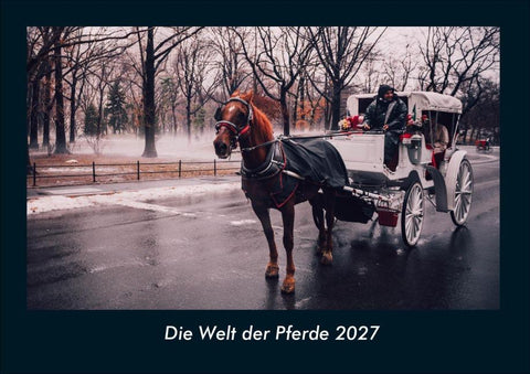 Die Welt der Pferde 2027 Fotokalender DIN A4