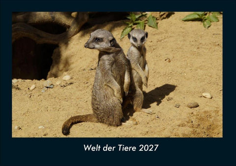 Welt der Tiere 2027 Fotokalender DIN A4