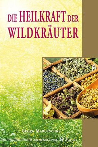 Die Heilkraft der Wildkräuter