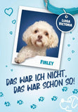 "Das war ich nicht. Das war schon so!" - Ein faszinierendes Buch für Mädchen und Jungen mit vielen Bildern.