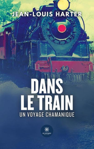 Dans le train