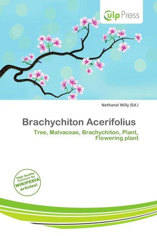 Brachychiton Acerifolius