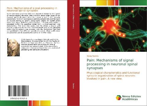 Pain: Mechanisms of signal processing in neuronal spinal synapses