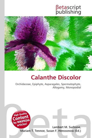 Calanthe Discolor