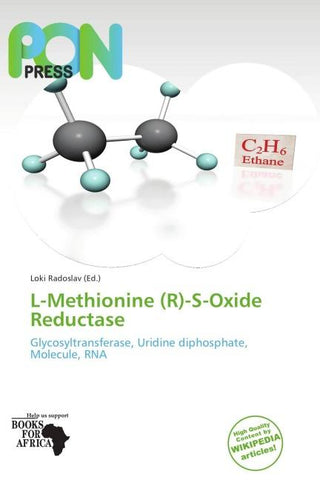 L-Methionine (R)-S-Oxide Reductase
